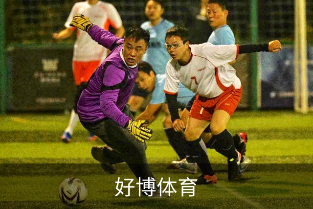 好博体育公司简介
